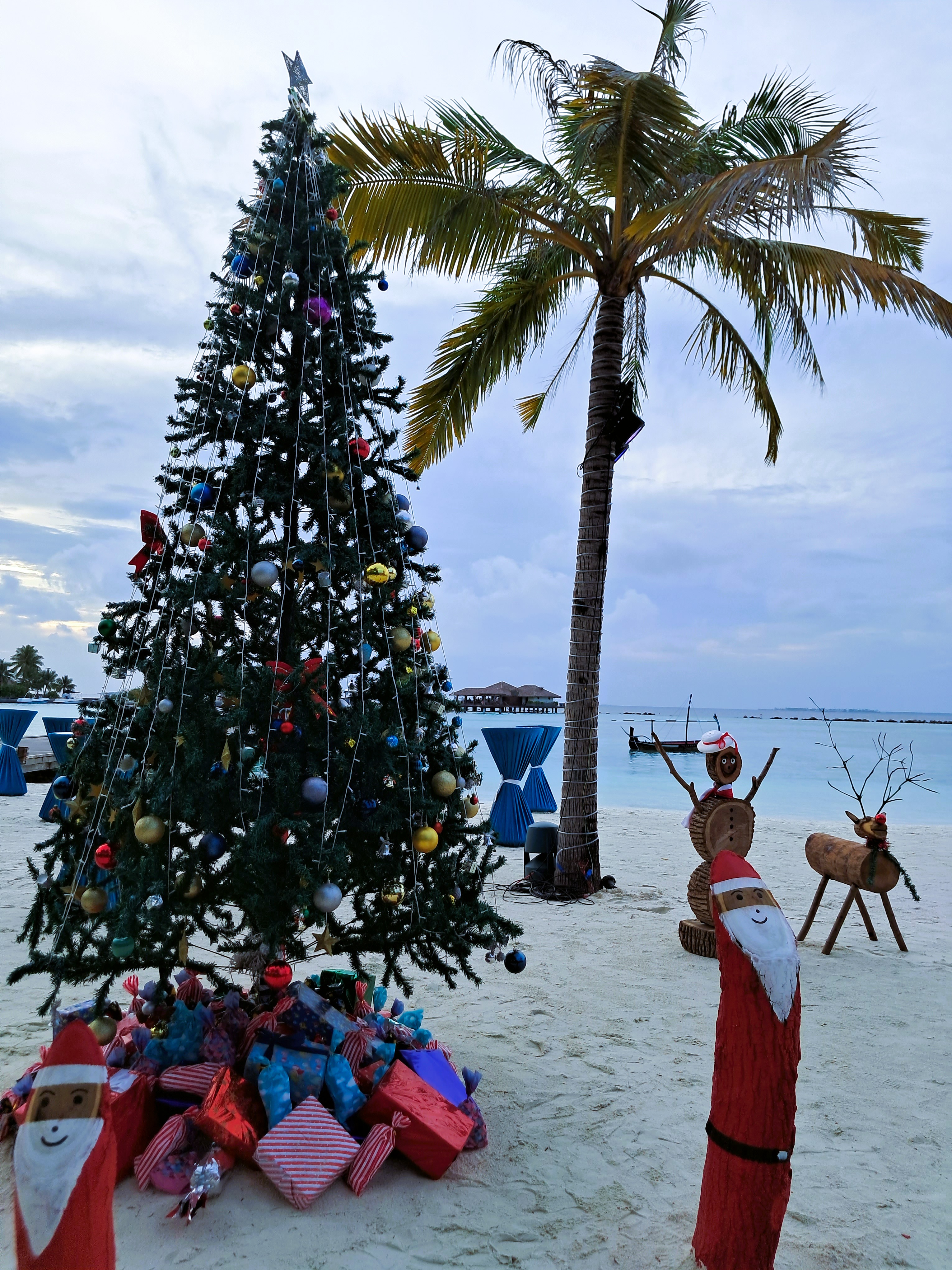 Palm trees wrapped in fairy lights framing a Christmas tree on a tropical boardwalk at night