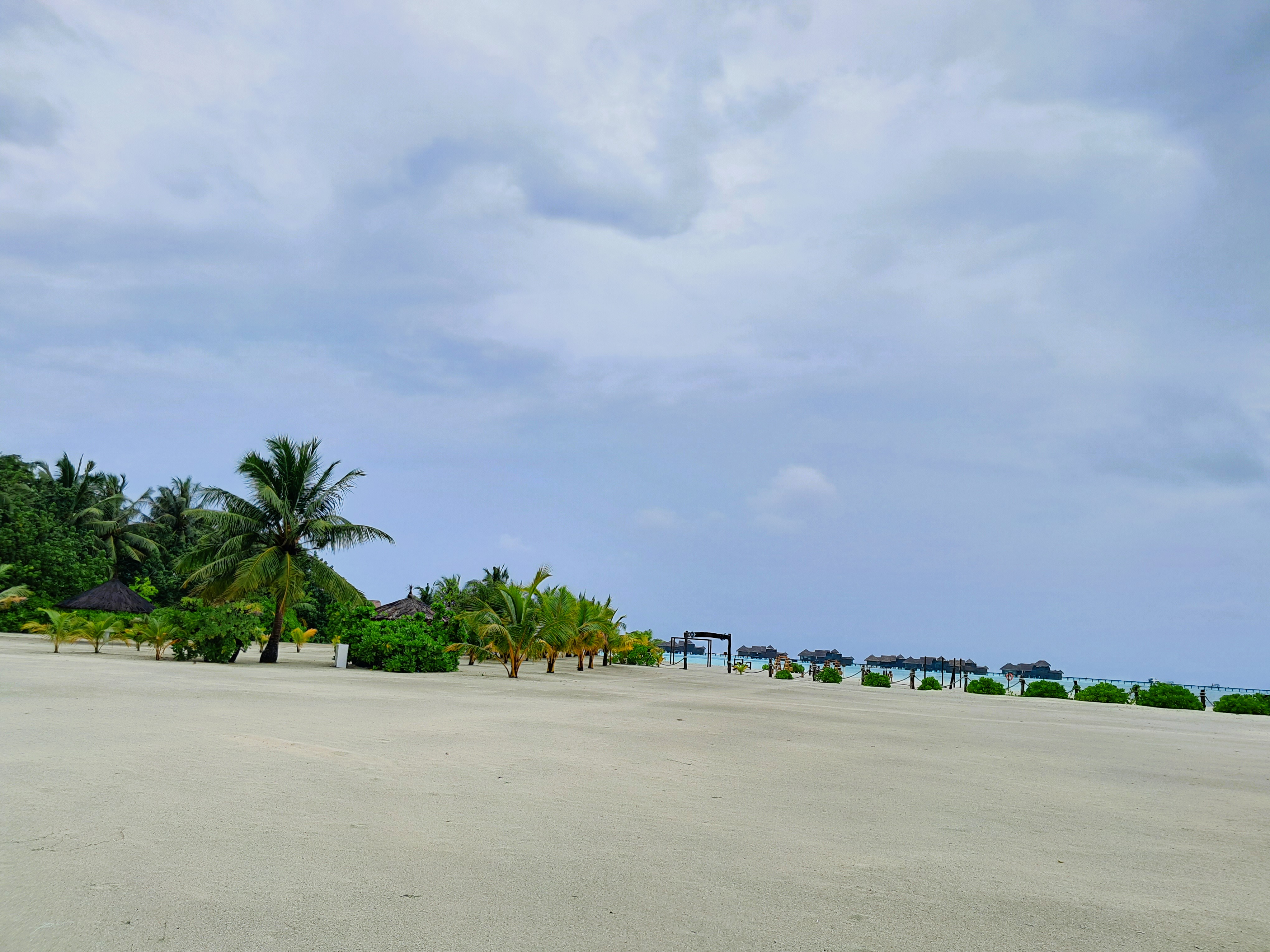 Lagoon lookout tower rising above palm trees at Villa Nautica