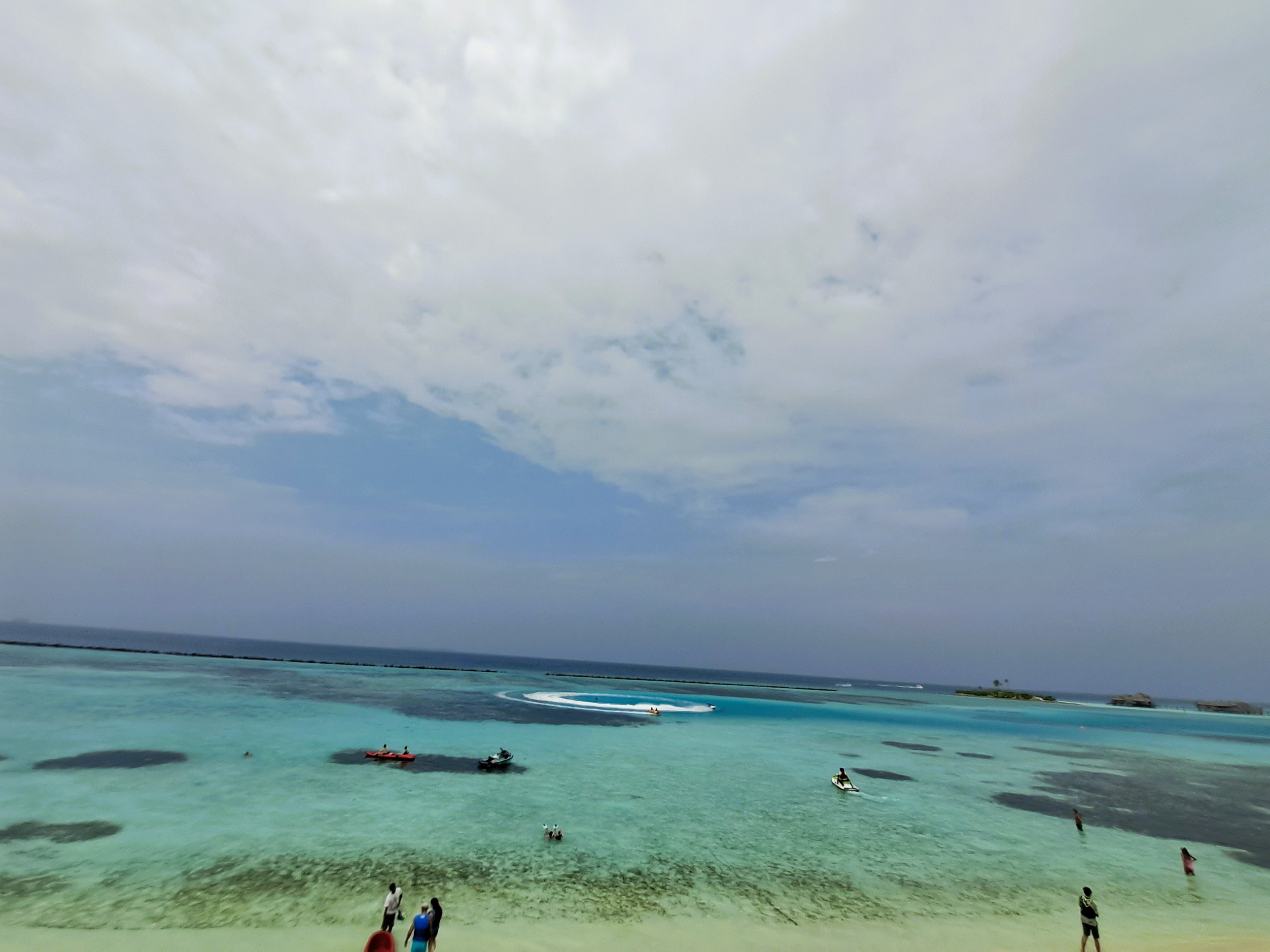Seagull standing on a wooden railing near the beach